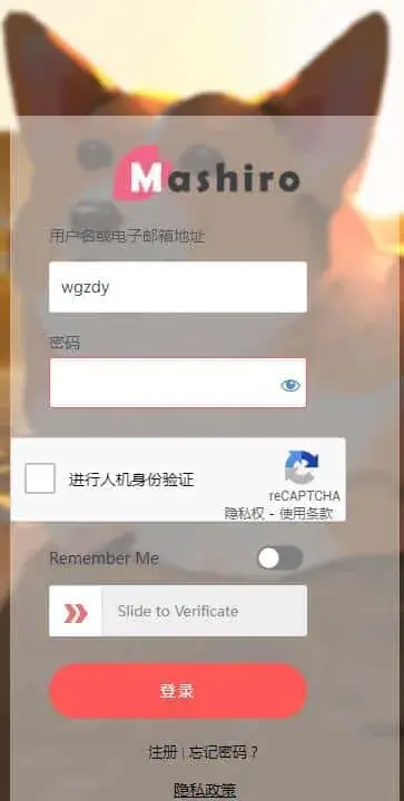 禁用登录界面的切换语言插图5
